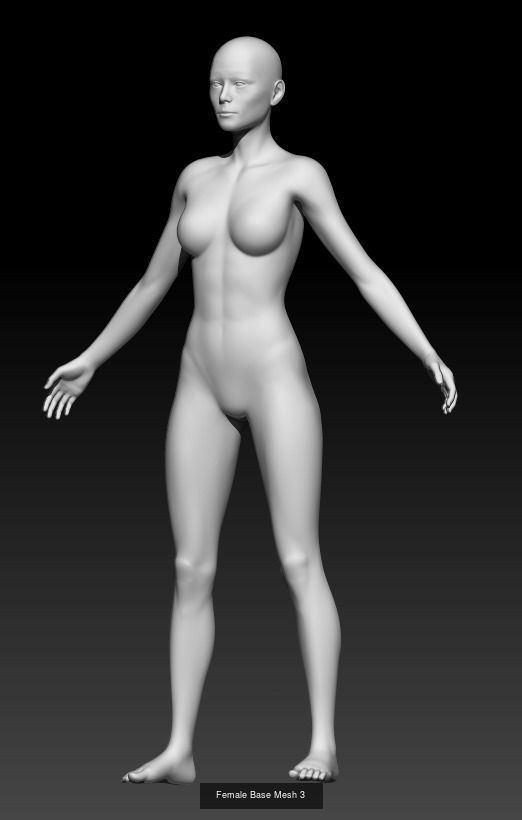 Male and Female base mesh pack 3D Model Collection_1
