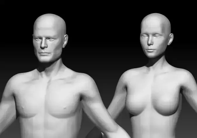 Male and Female base mesh pack  3D Model Collection
