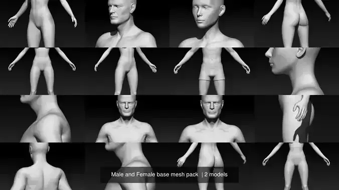 Male and Female base mesh pack 