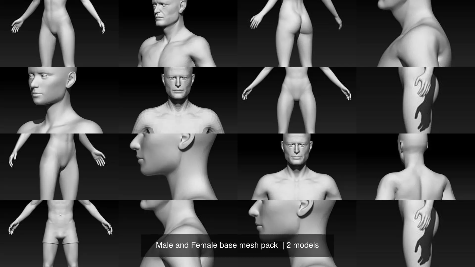 Male and Female base mesh pack 3D Model Collection_1