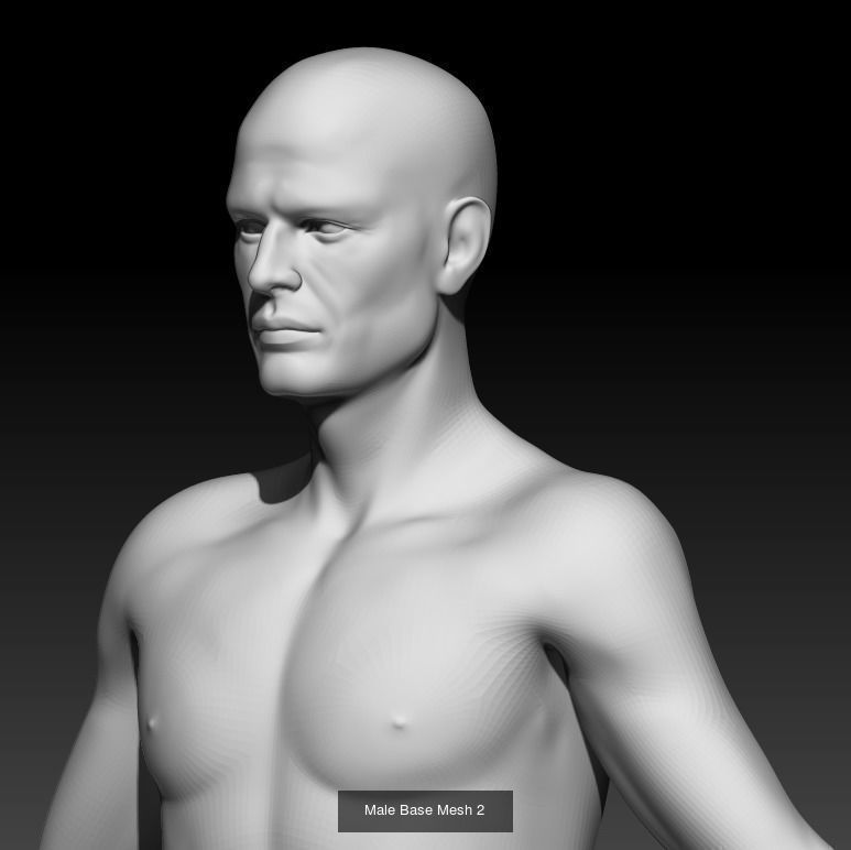 People Basemeshes big pack 3D Model Collection_13