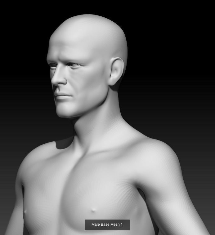 People Basemeshes big pack 3D Model Collection_12