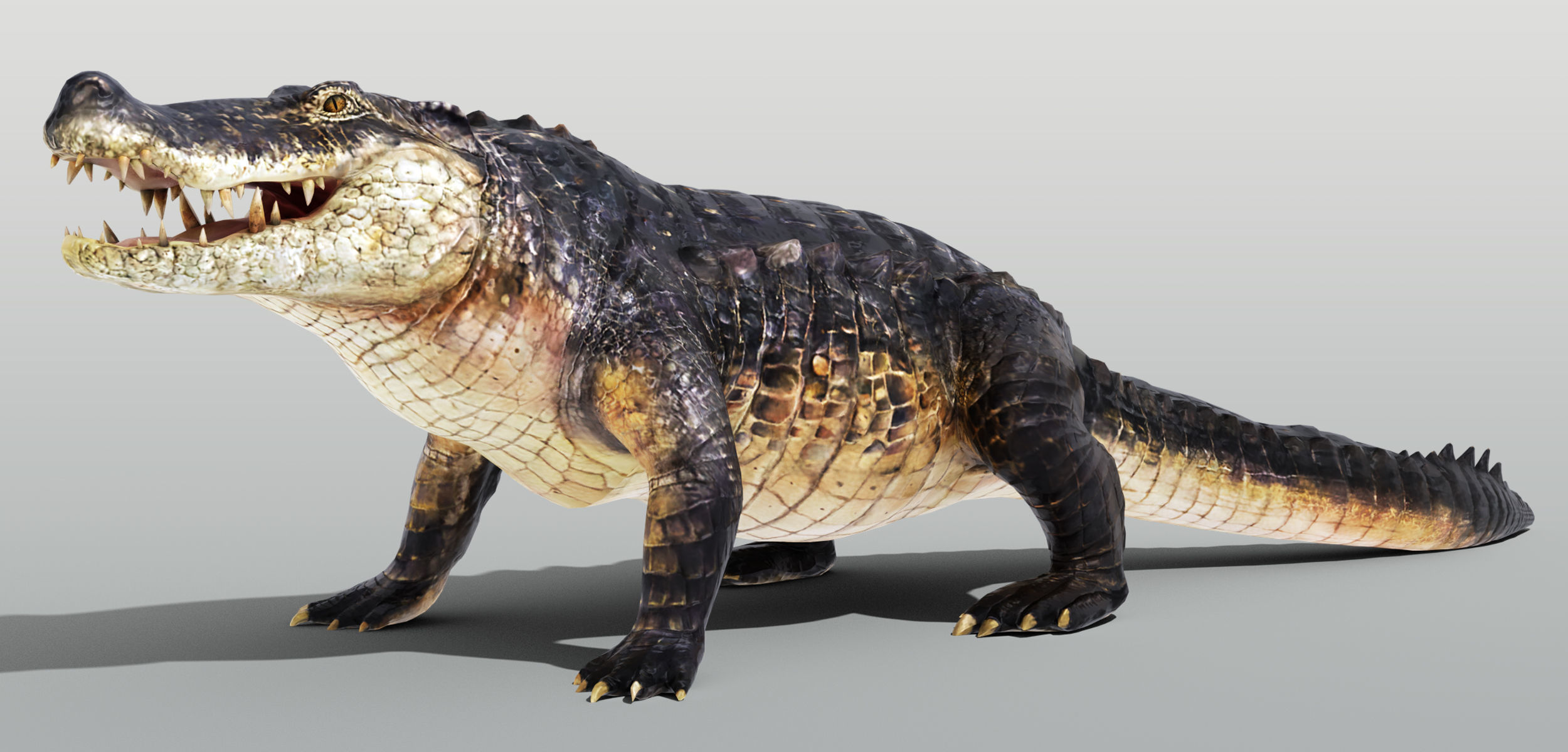 Realistic Crocodile Rigged Low-poly 3D model_1