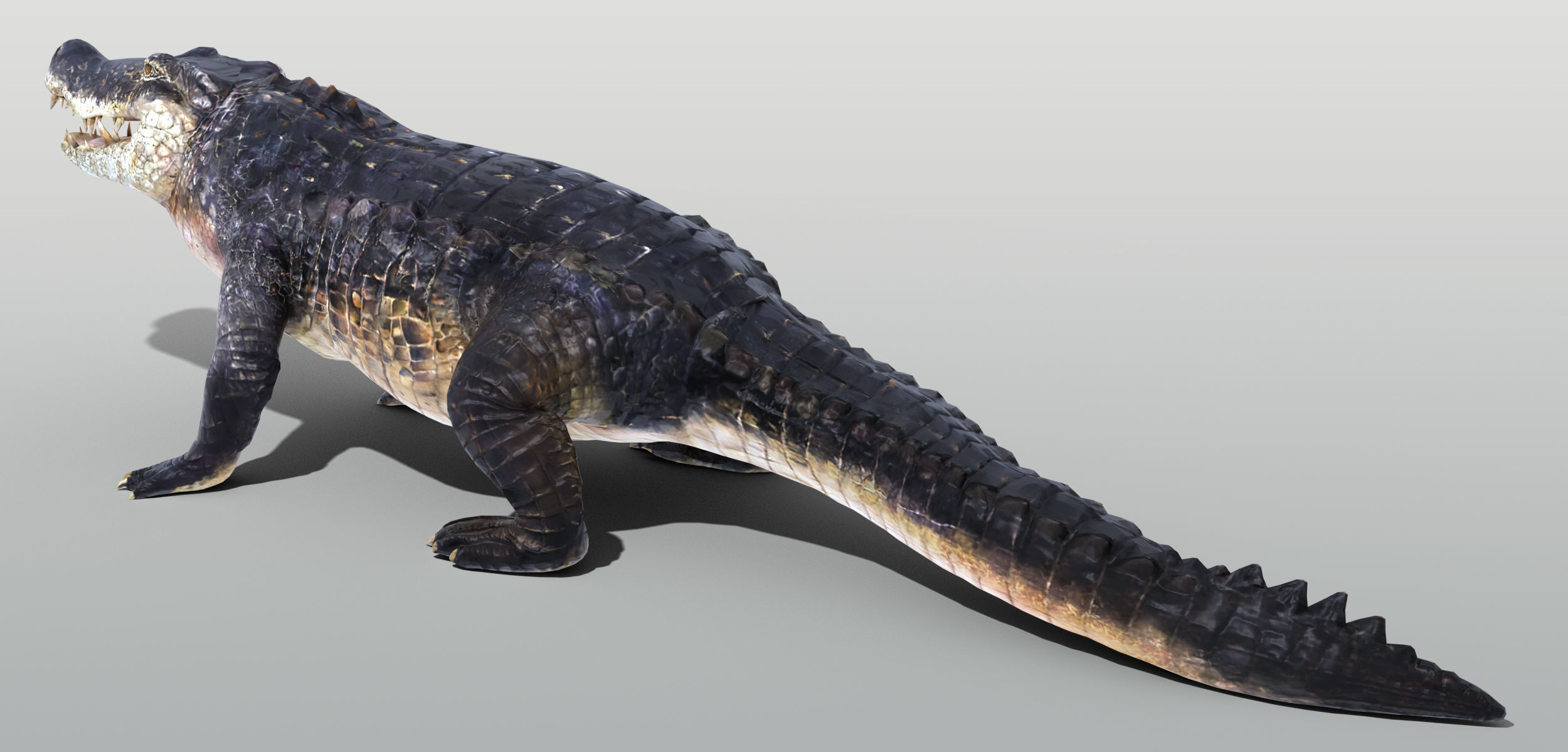 Realistic Crocodile Rigged Low-poly 3D model_4