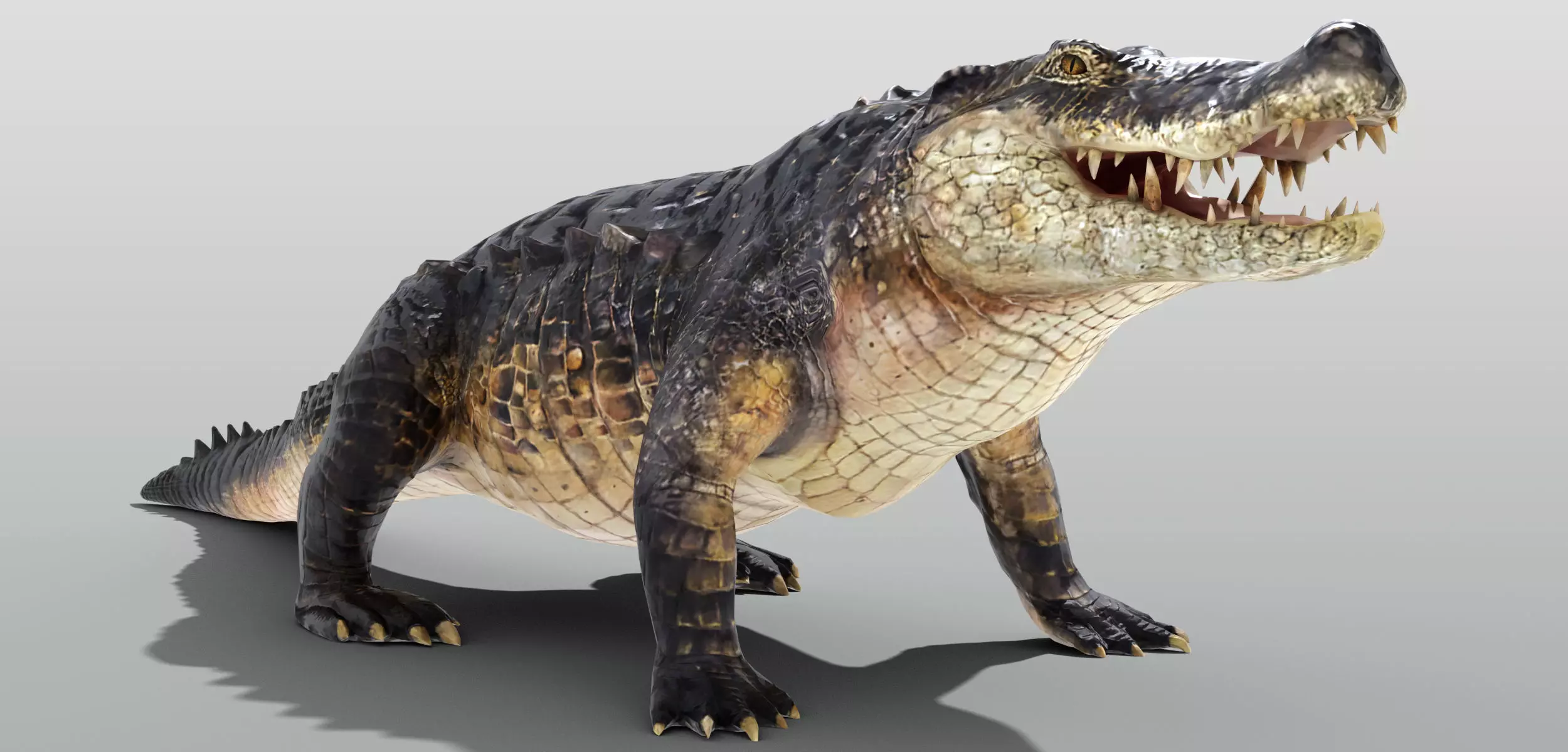 Realistic Crocodile Rigged Low-poly 3D model_0