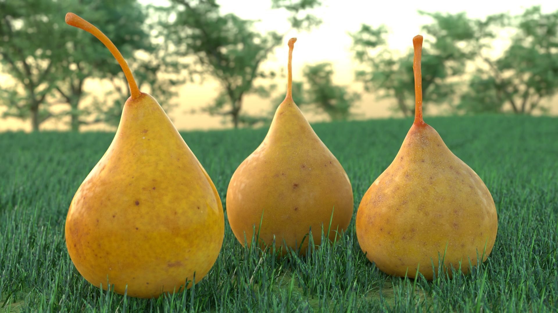 Apples and Pears 12 Pack - 3D Scan - Natural Orchard Handpicked Low-poly 3D model_3