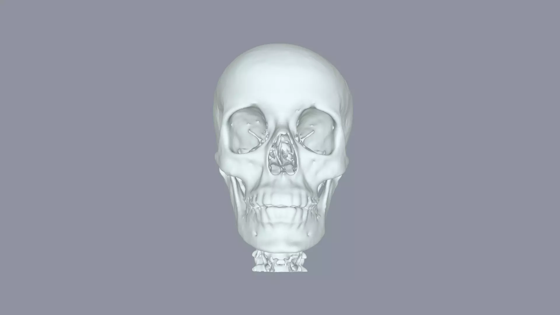 SKULL HUMAN SKULL ANOTOMICAL SKULL MODEL 3D print model