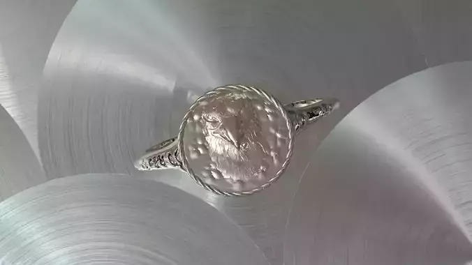  Eagle hawk Head ring signet