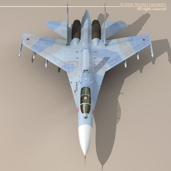 Su-27 Flanker camo2 3D model_9