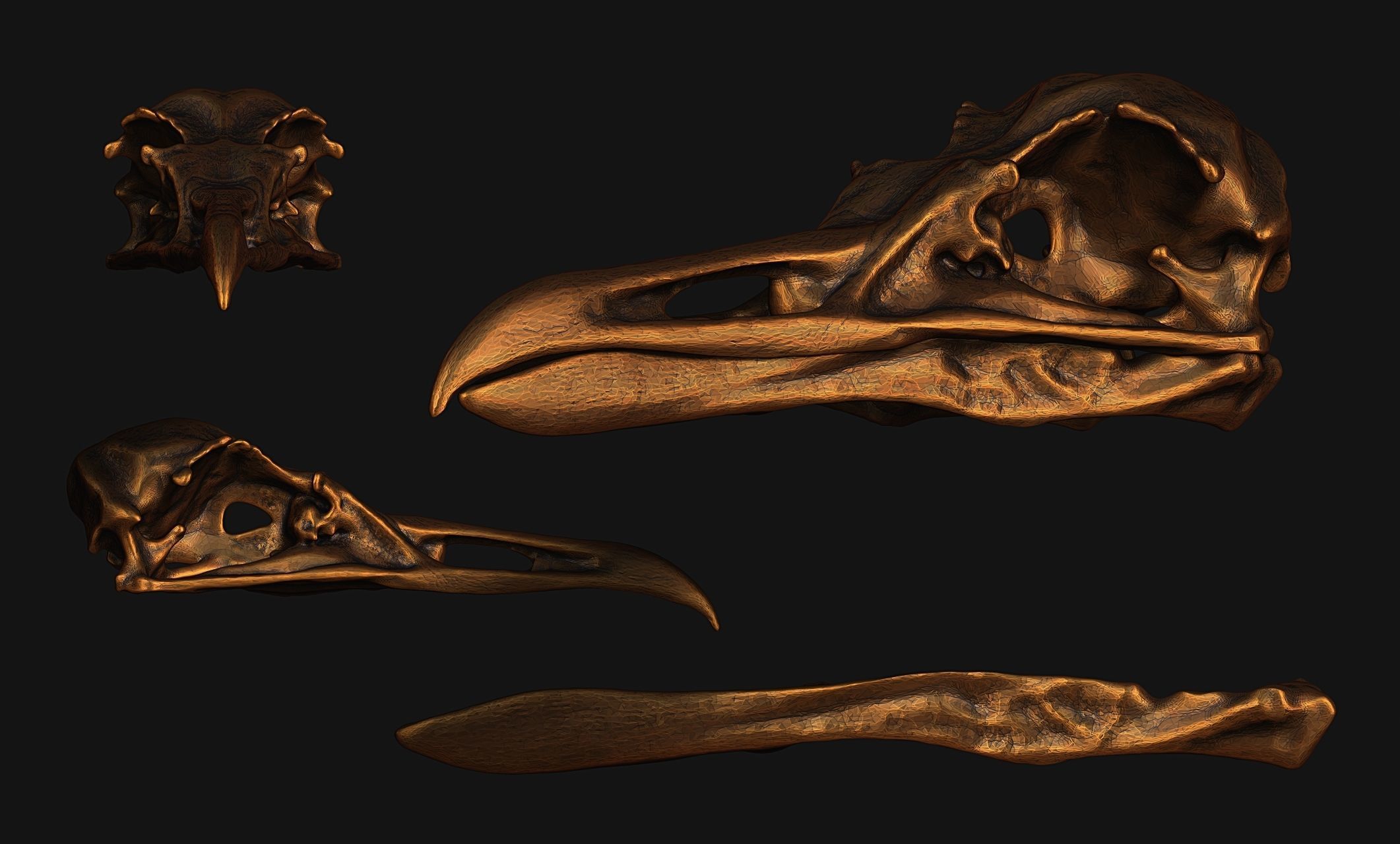 Larus marinus - Atlantic Seagull skull 3D print model_10