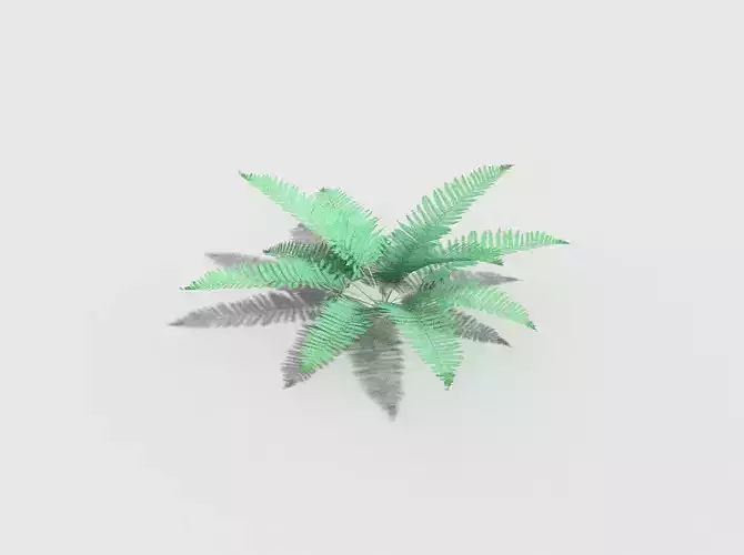 low poly fern plant