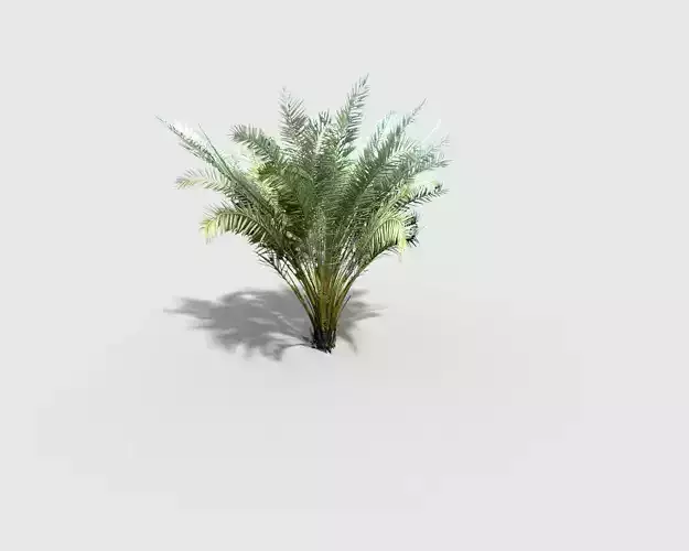 low poly palm plant Low-poly 3D model