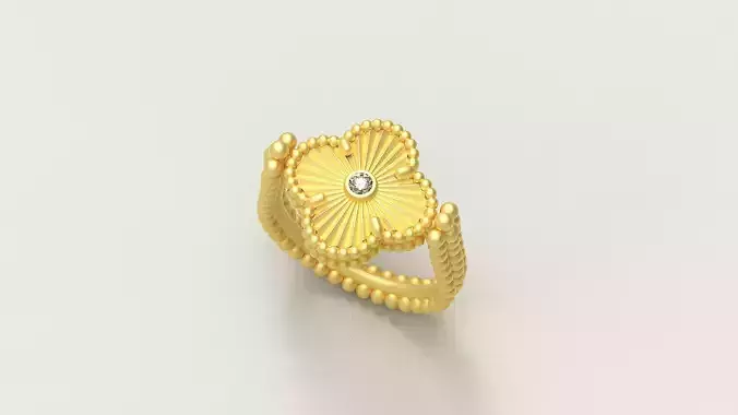 Reversible Ring 3D print model