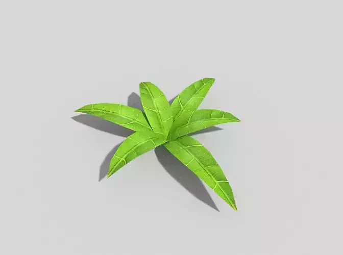 Low poly Plant leaf