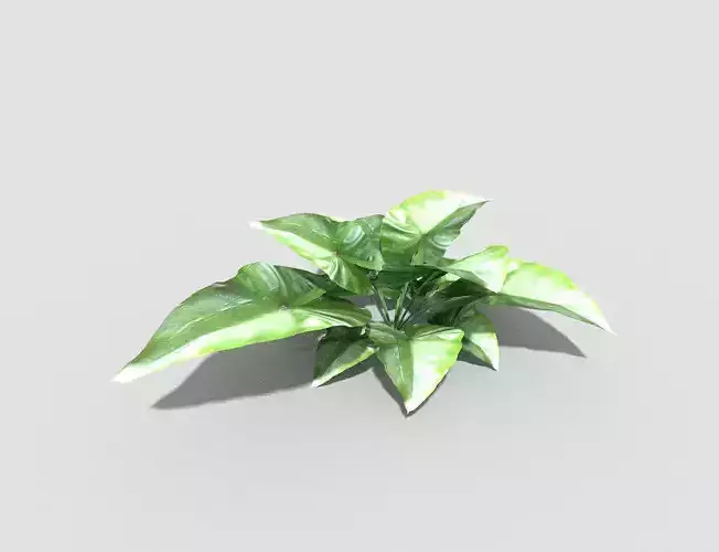 Low poly Plant