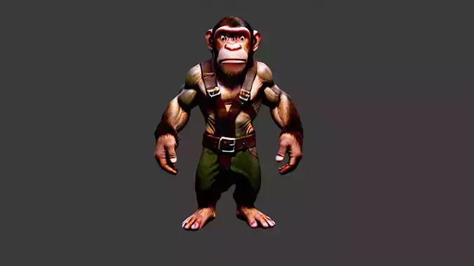 Monkey Soldier