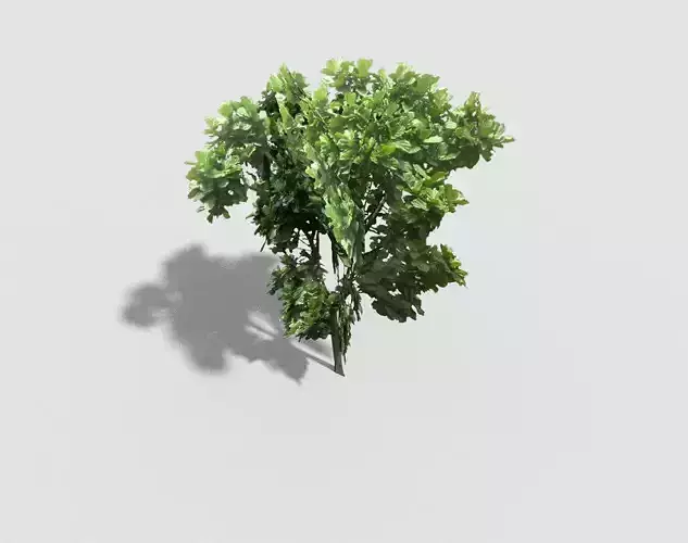 low poly shrub tree