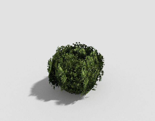 low poly tropical shrub 2 Low-poly 3D model