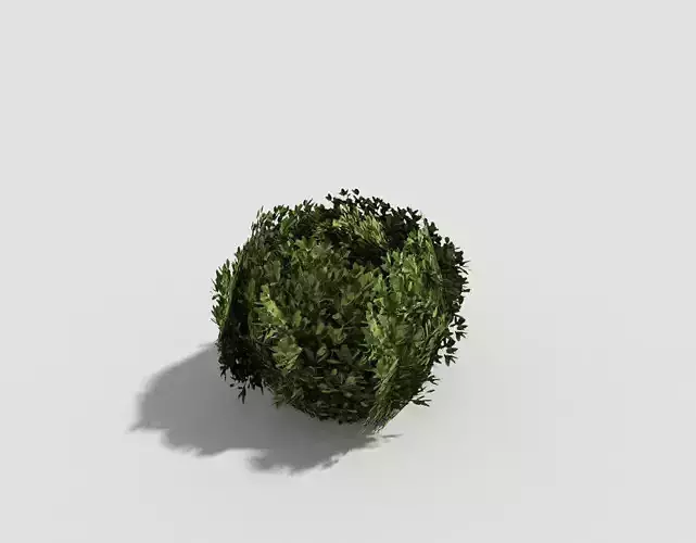 low poly tropical shrub 2 Low-poly 3D model