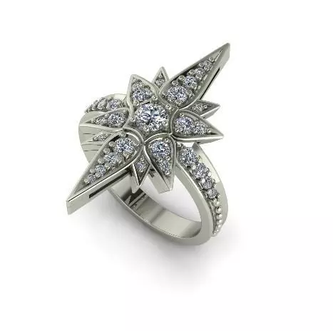 16 shtern ring 2 3D print model_0