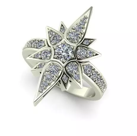 12 shtern ring 3D print model_0