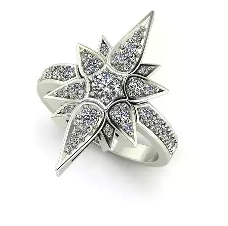 12 shtern ring 3D print model