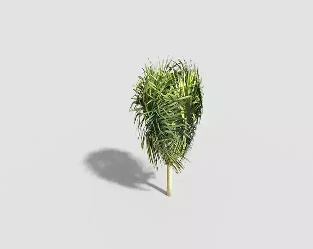 low poly tropical tree Low-poly 3D model