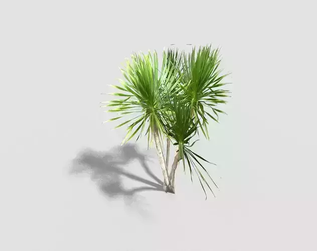 low poly tropical tree