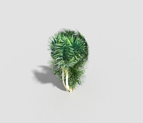 low poly tropical tree Low-poly 3D model