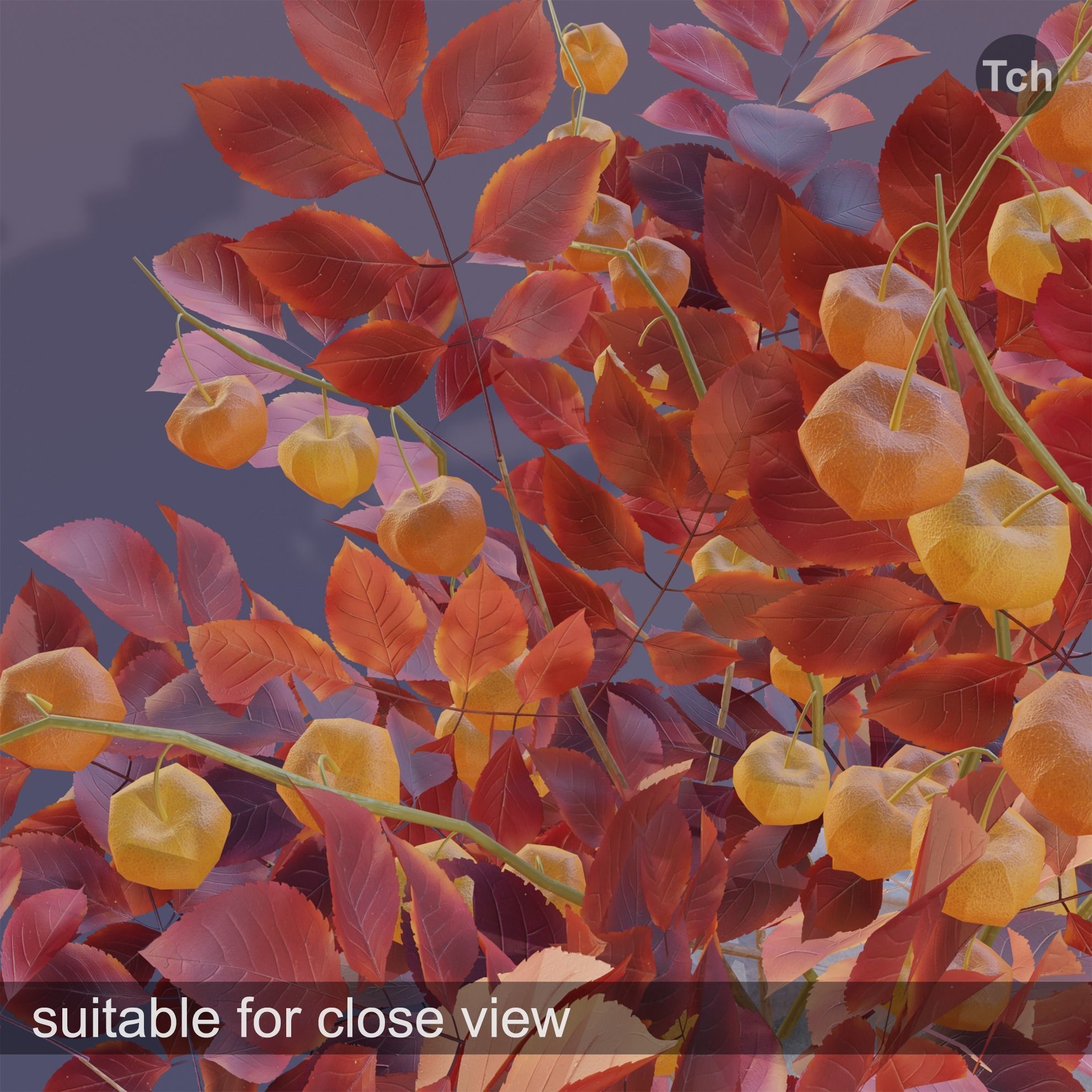 Red fall bouquet Low-poly 3D model_6