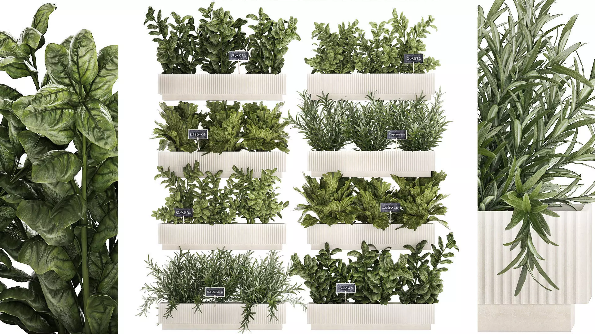 Kitchen mini garden with rosemary vegetables basil 1415 3D model