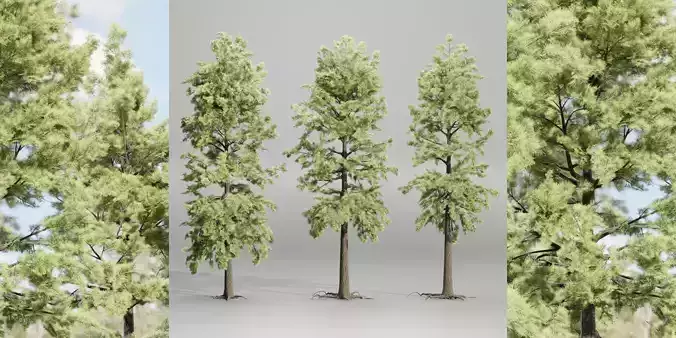pine trees collection vol 102-Blender