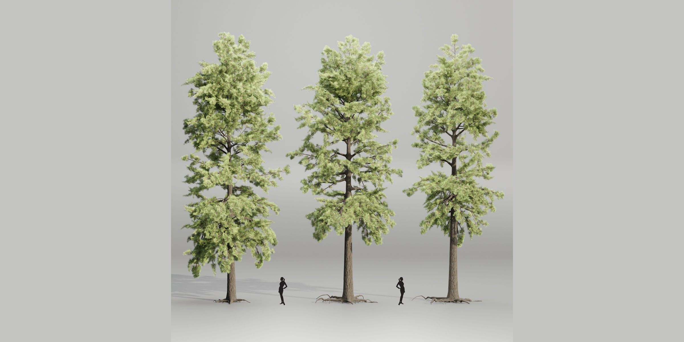 pine trees collection vol 102-Blender 3D model_4