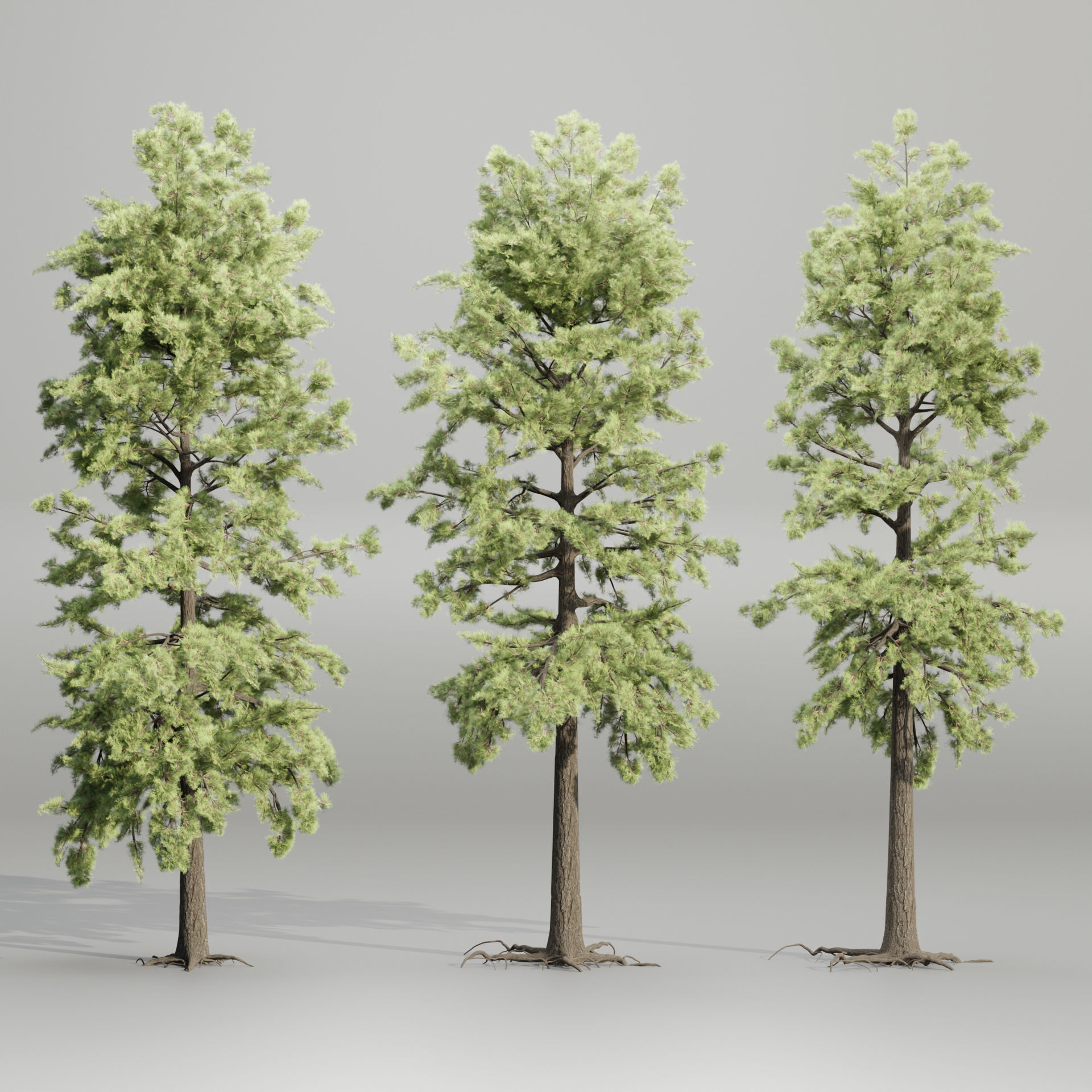 pine trees collection vol 102-Blender 3D model_3