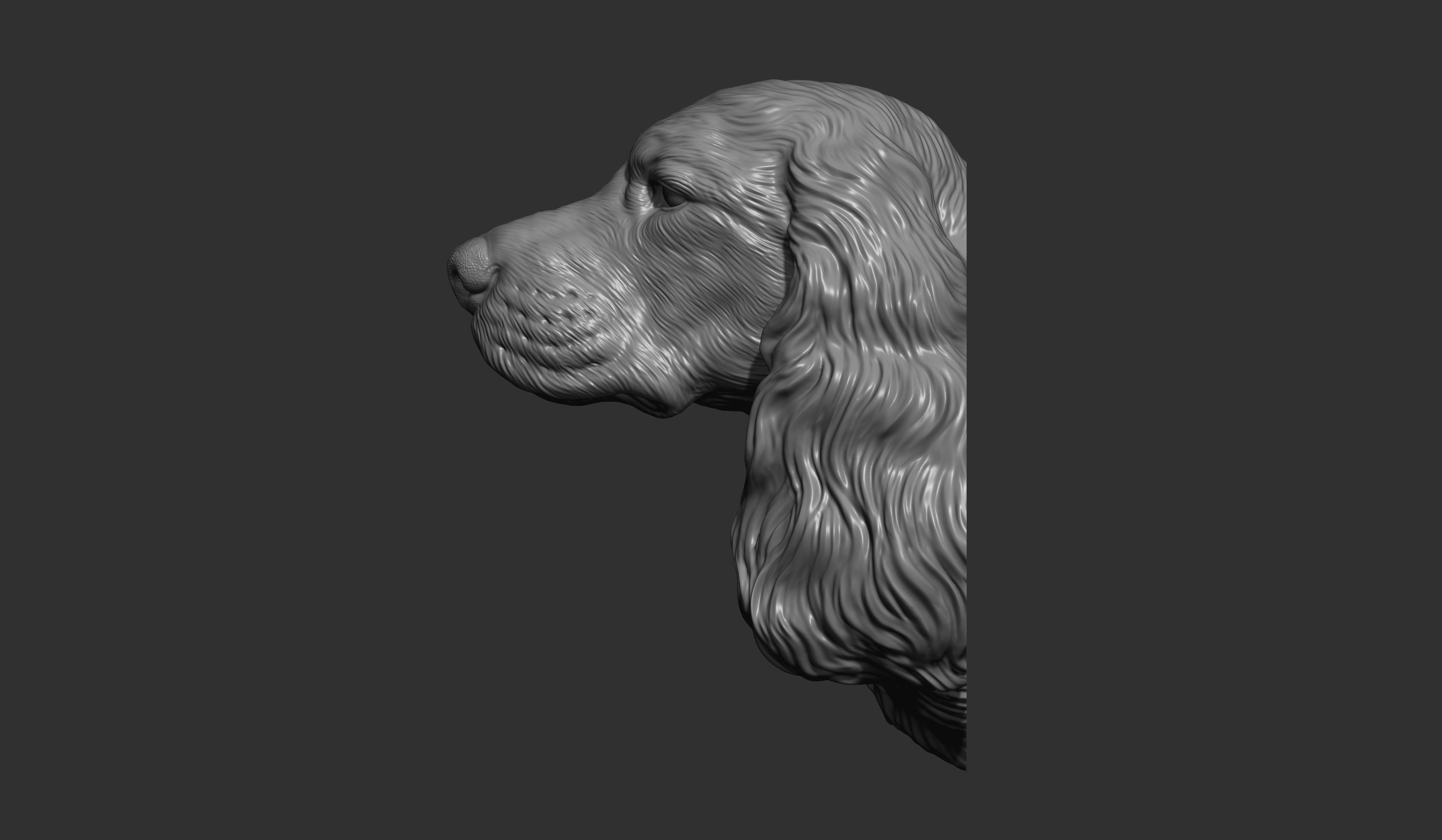 English Cocker Spaniel bust 3D print model_1