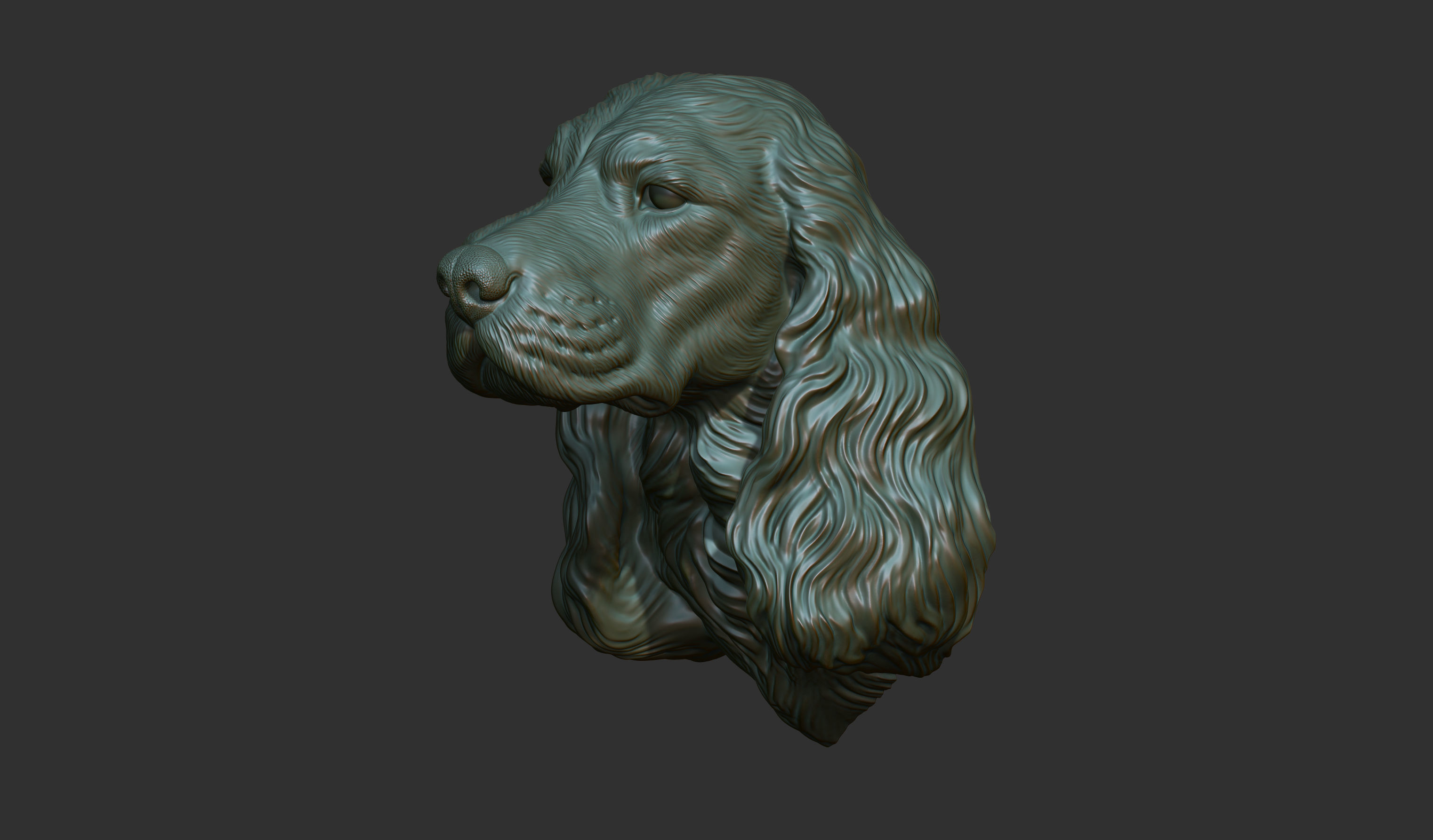 English Cocker Spaniel bust 3D print model_8