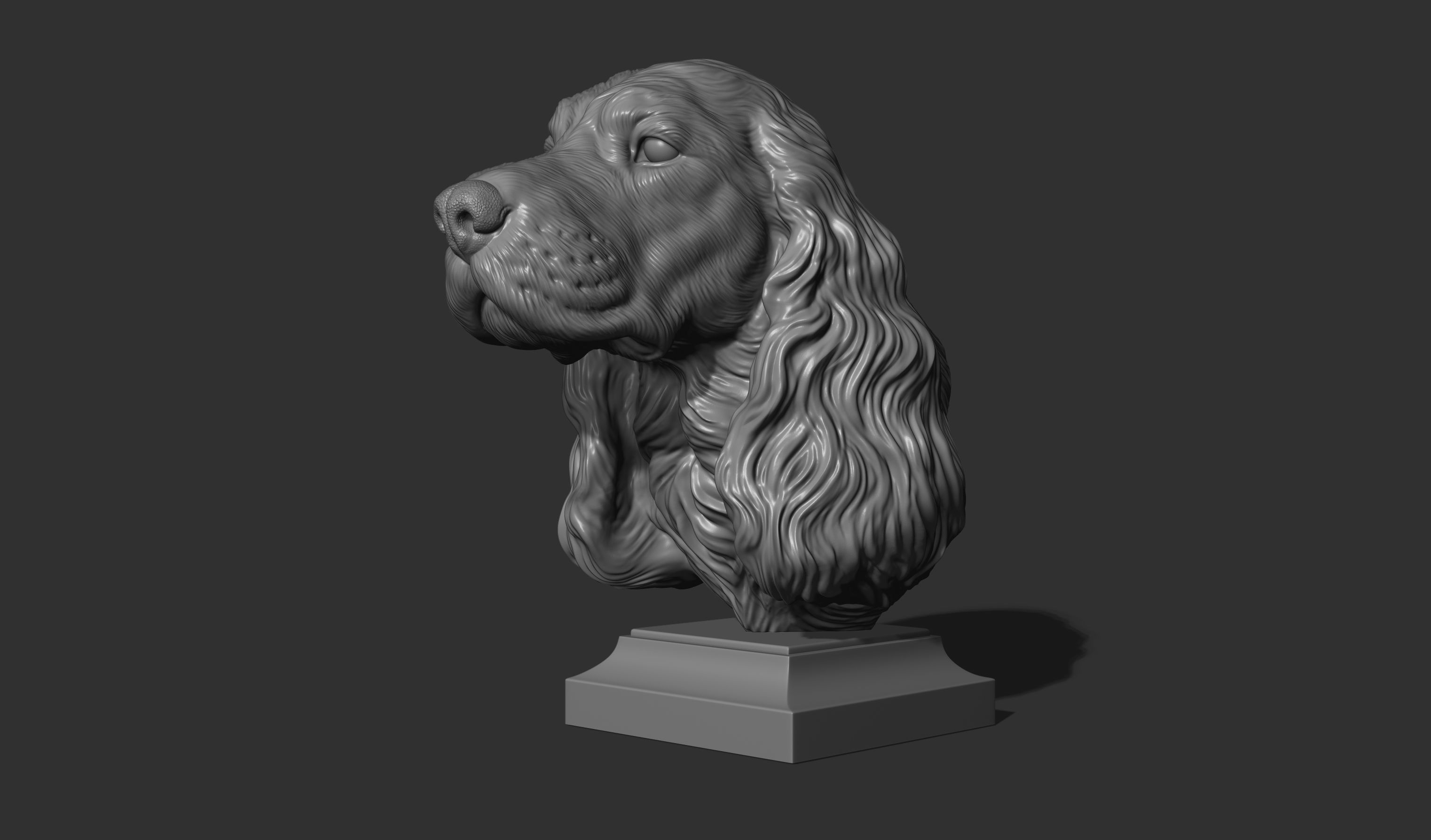 English Cocker Spaniel bust 3D print model_19