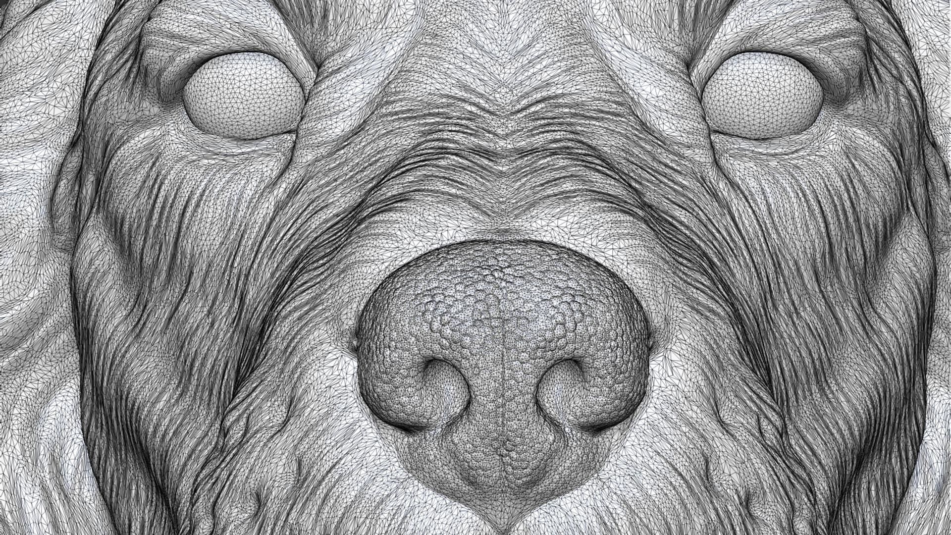 English Cocker Spaniel bust 3D print model_29