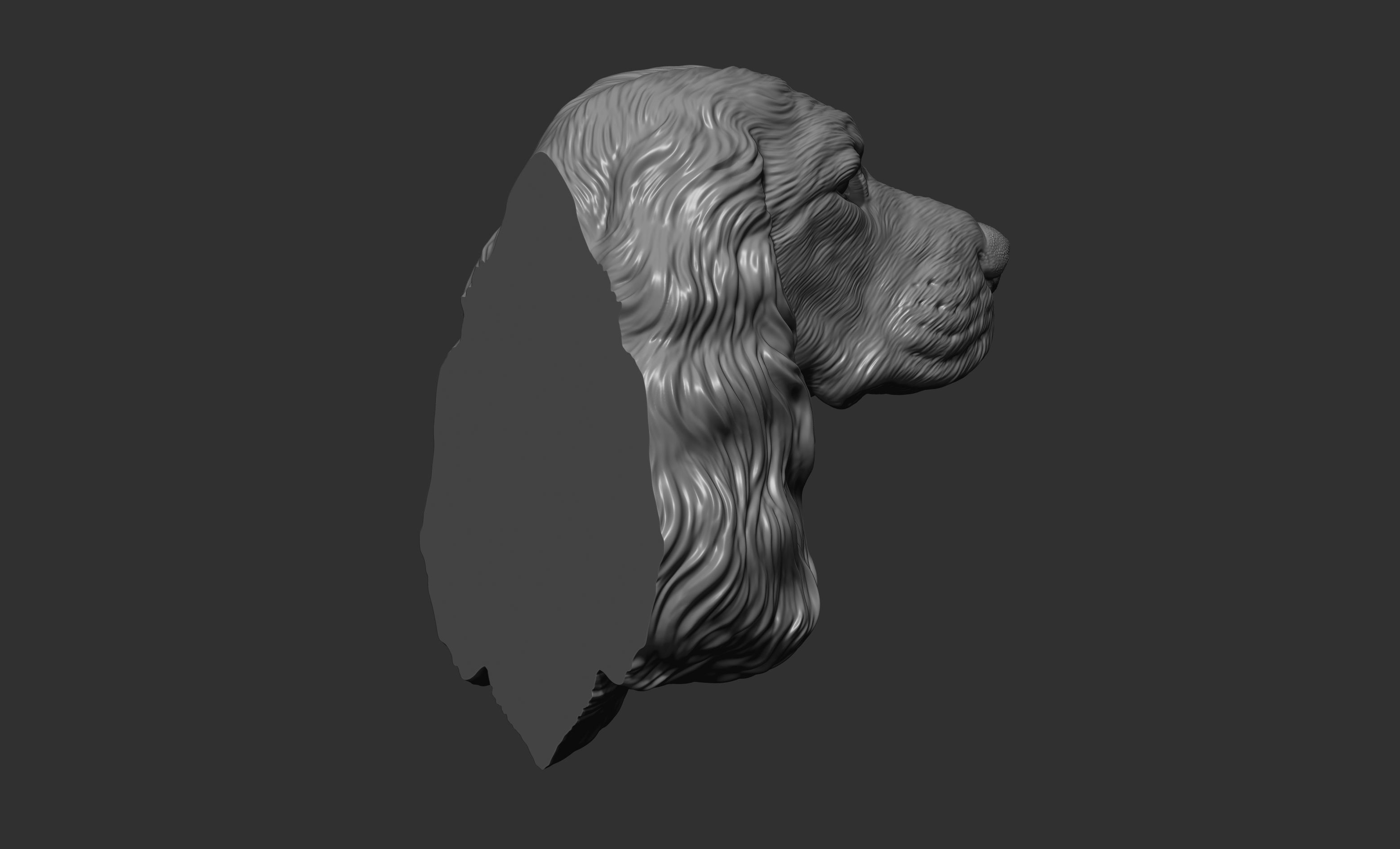 English Cocker Spaniel bust 3D print model_4