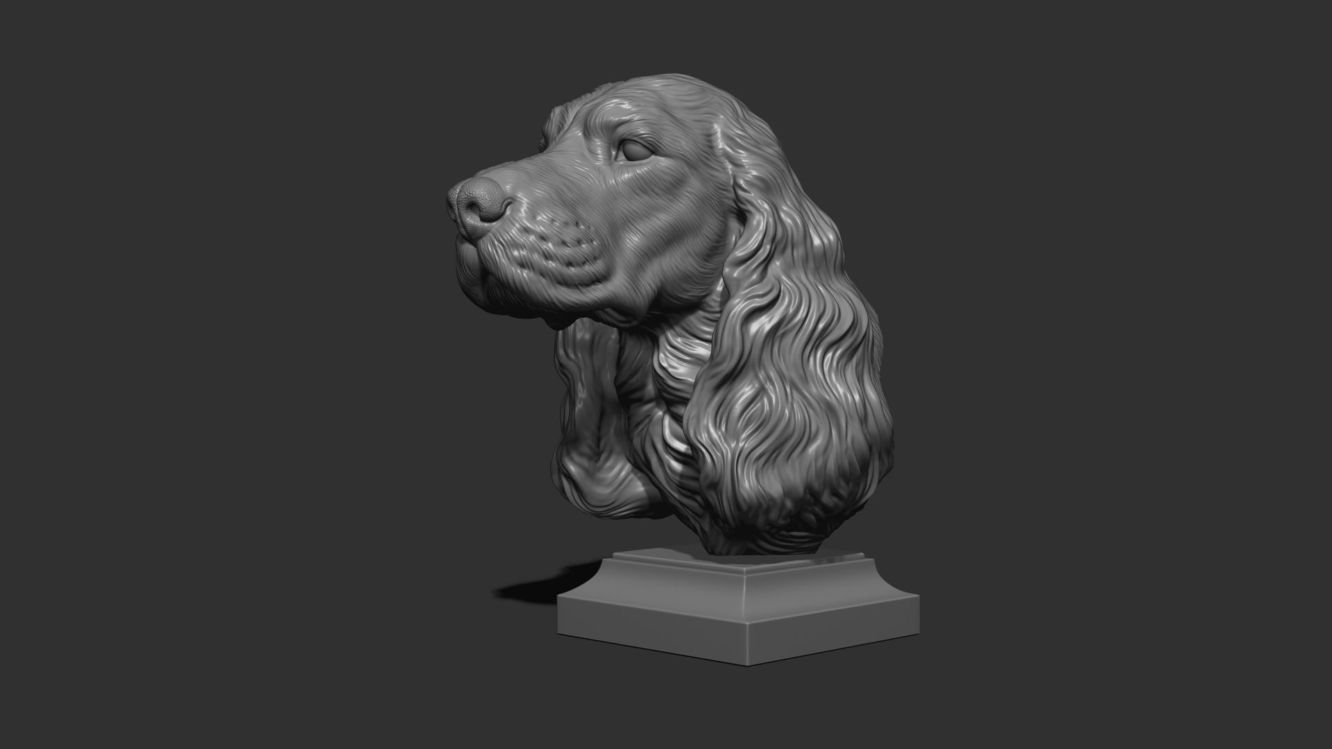 English Cocker Spaniel bust 3D print model_14