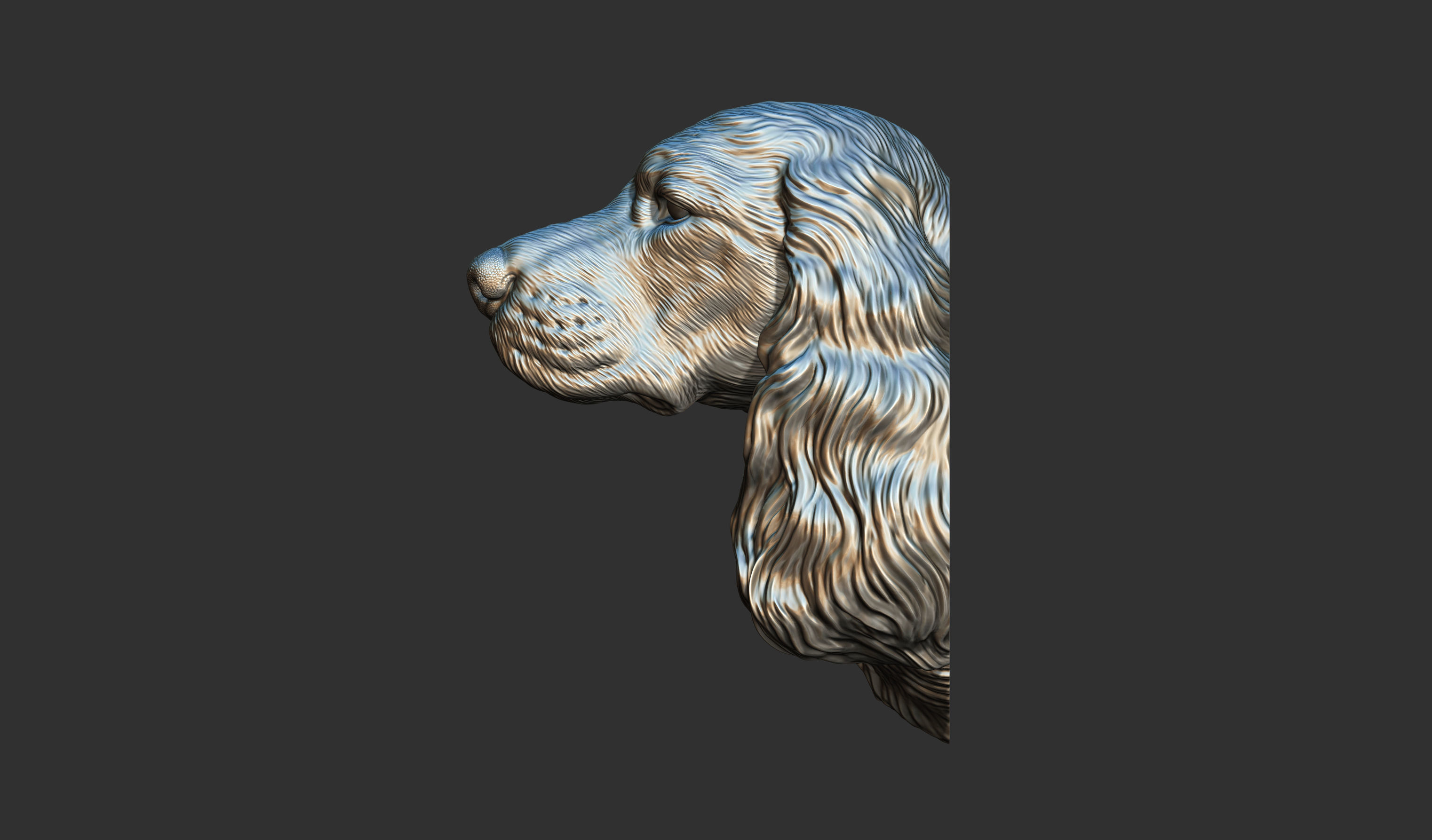 English Cocker Spaniel bust 3D print model_9