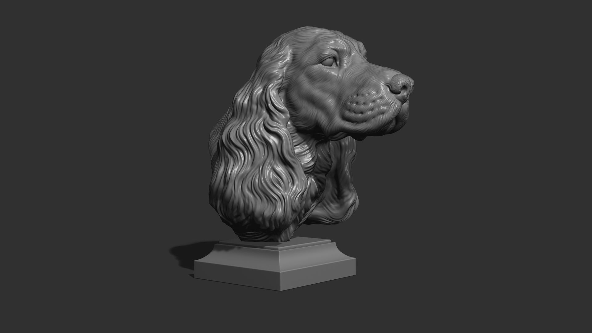 English Cocker Spaniel bust 3D print model_17