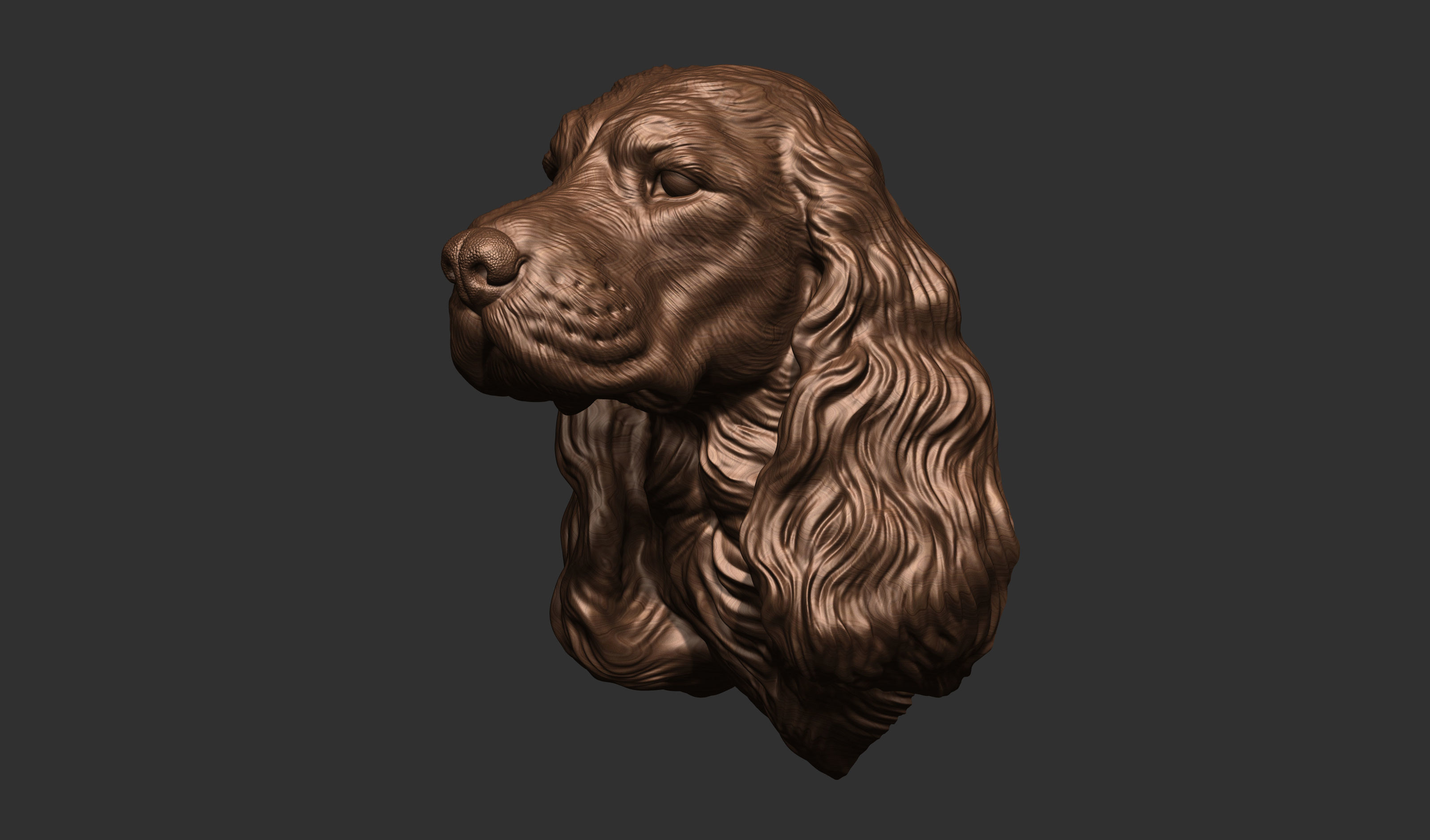 English Cocker Spaniel bust 3D print model_13