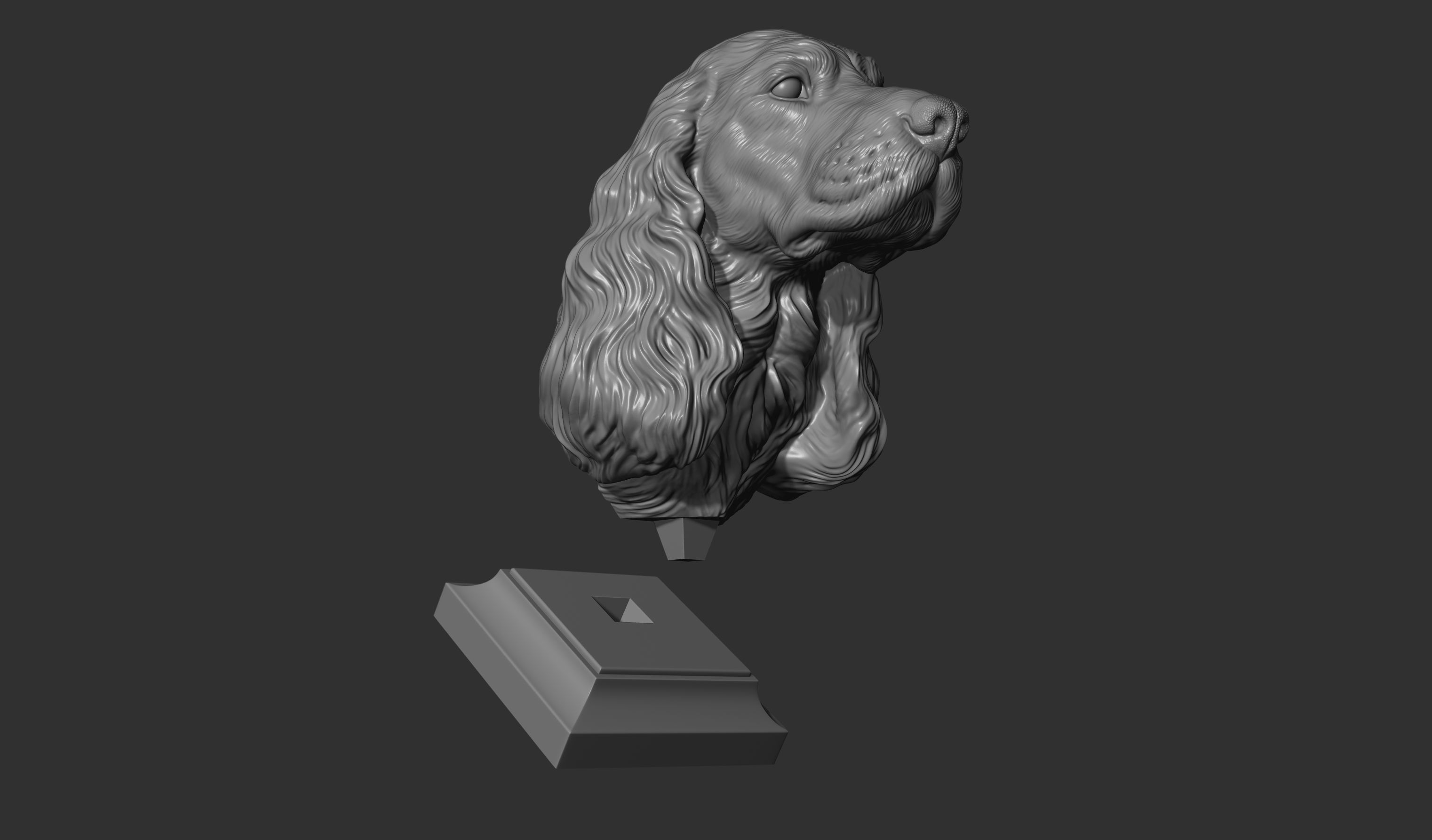 English Cocker Spaniel bust 3D print model_25