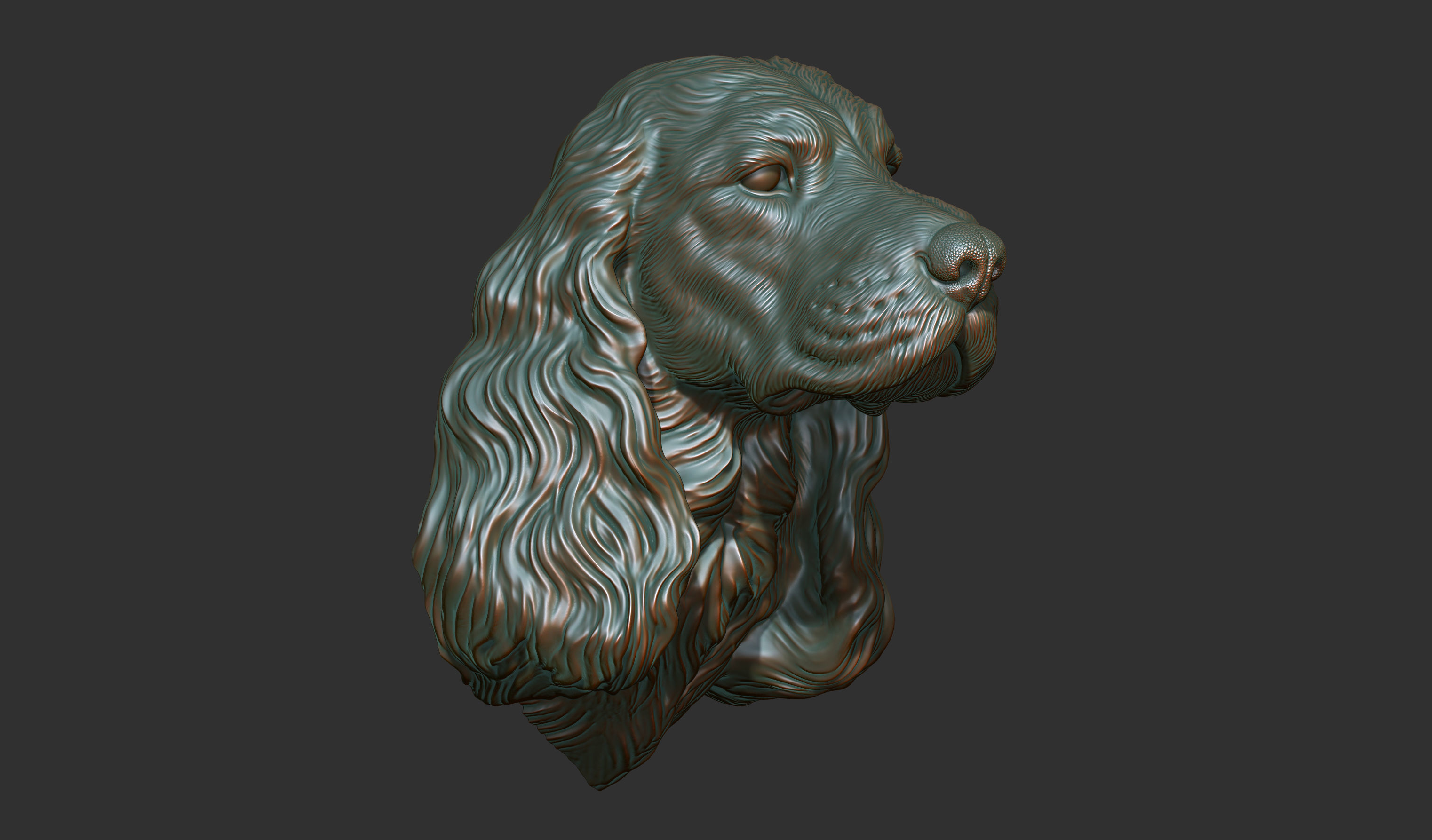 English Cocker Spaniel bust 3D print model_6