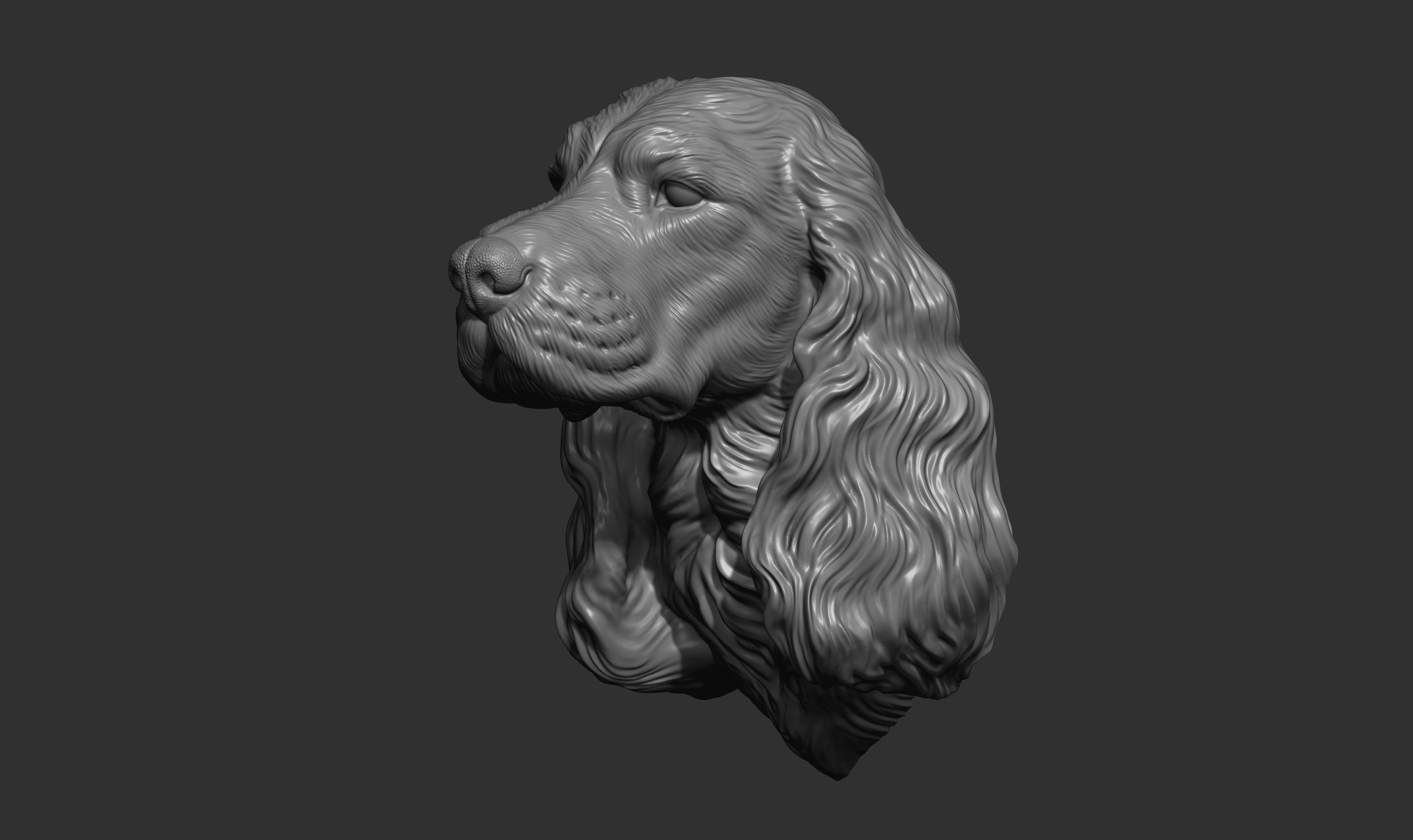 English Cocker Spaniel bust 3D print model_3