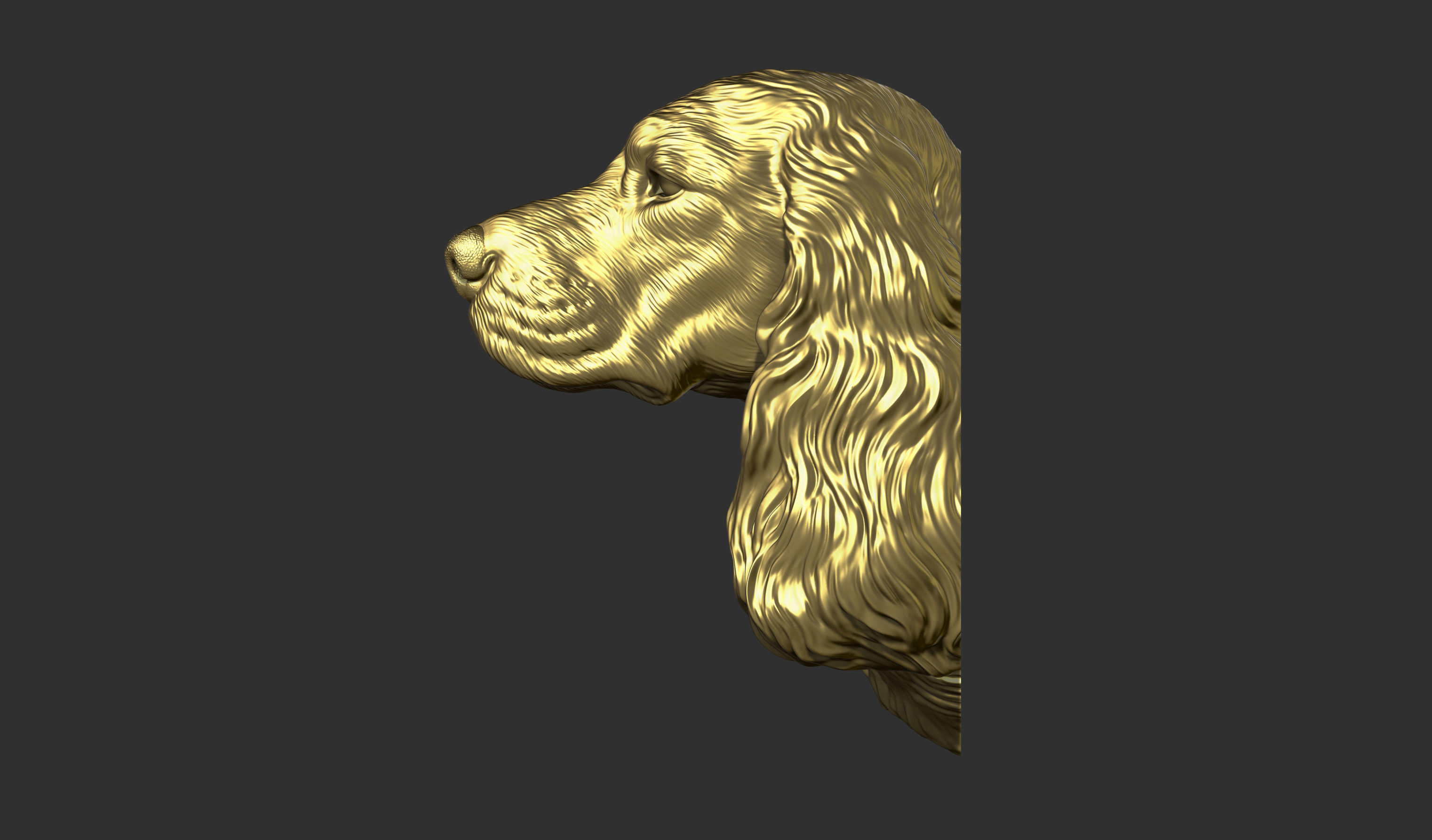 English Cocker Spaniel bust 3D print model_12