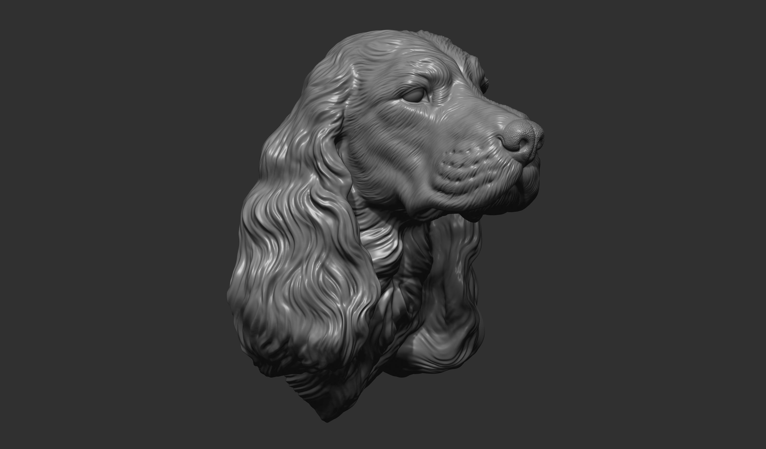 English Cocker Spaniel bust 3D print model_5