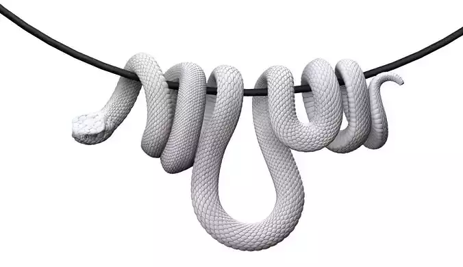 Snake pendant  3D print model