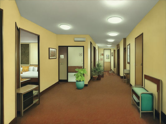 1970s Kitch Interior Scenes Texture_20